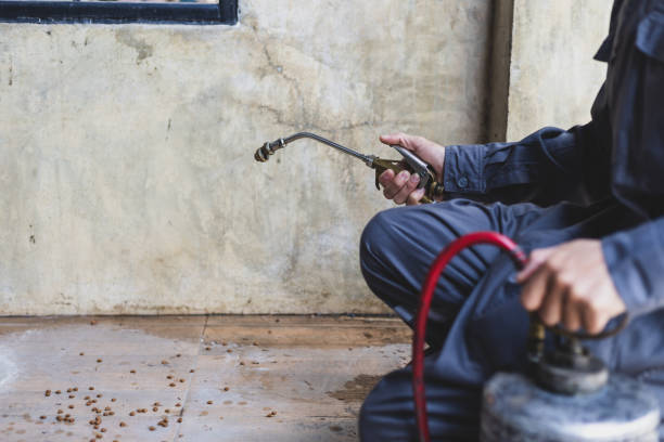 Best Pest Control Near Me  in Johnson Creek, WI